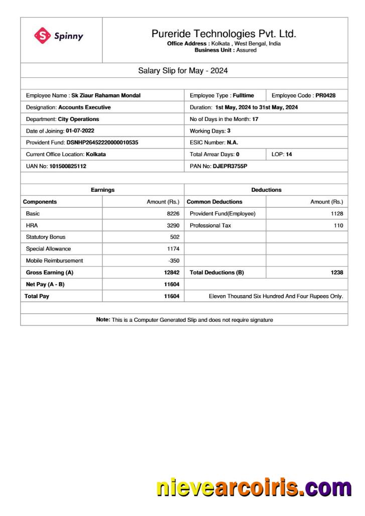 Pureride Technologies salary slip
